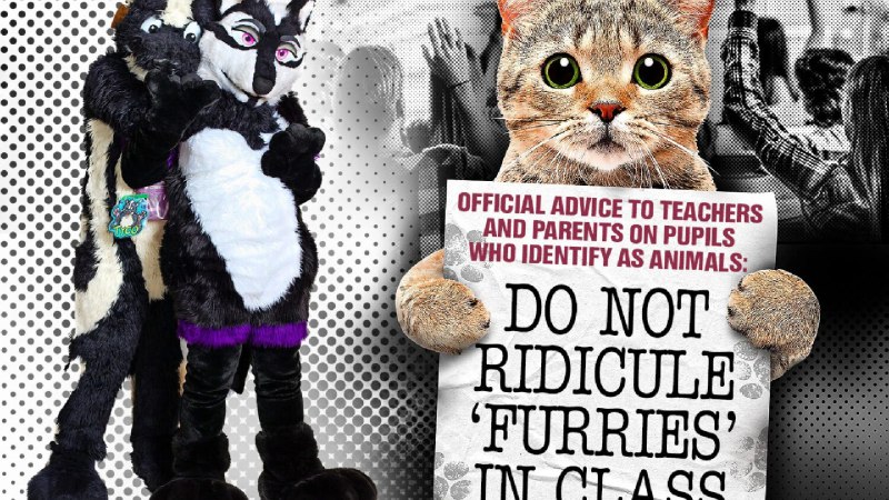 Parents and teachers warned not to ridicule schoolkids who identify as animals