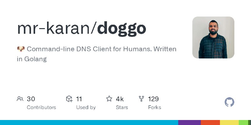 GitHub - mr-karan/doggo: :dog: Command-line DNS Client for Humans. Written in Golang