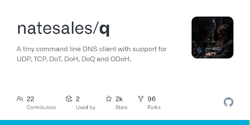 GitHub - natesales/q: A tiny command line DNS client with support for UDP, TCP, DoT, DoH, DoQ and ODoH.