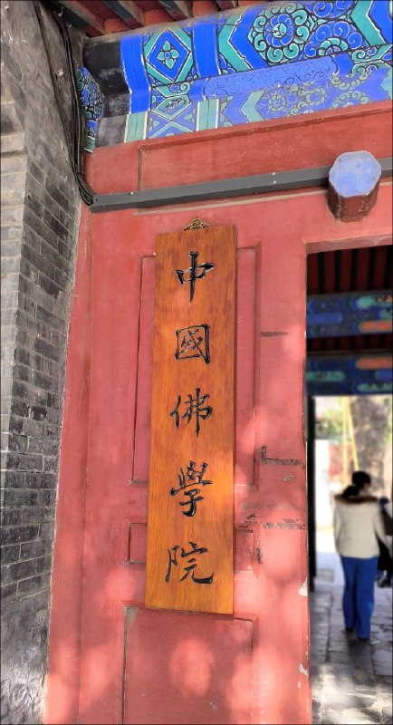 初见法源法源寺的午后，雕黄的银杏叶缀着残阳余辉，大雄宝殿“法海真源”的匾额在光影里半明半暗