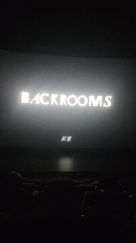 和朋友一起去看了《后室》，也是好久没去电影院看电影了，我一开始没怎么看懂，又不能跳回去再看一遍，这也是我不喜欢电影院的一个点，这部有个多了16分钟的第一人称VHS加长版目前没上映，没看到有点可惜，只能等数字版了