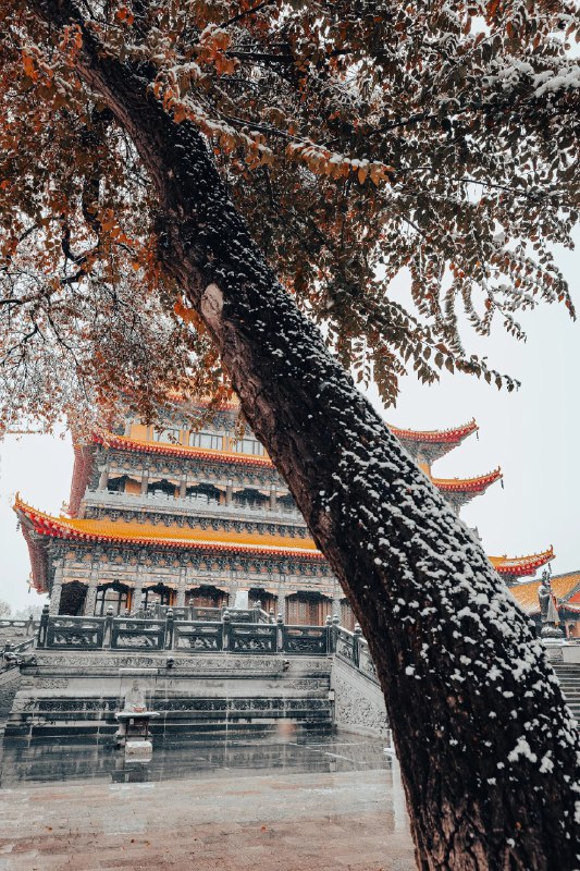 “好雪片片，不落别处”#雪一落这里就美成了诗 #中式美学服饰 #古建筑之美 #雪景“好雪片片，不落别处”#雪一落这里就美成了诗 #中式美学服饰 #古建筑之美 #雪景