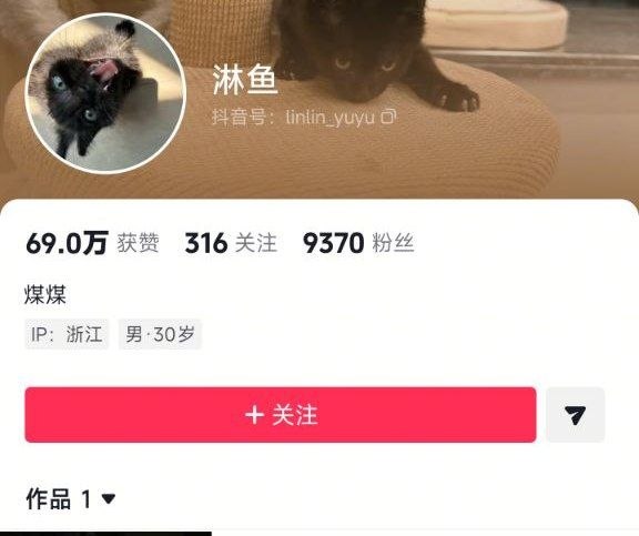 应该是一个不错的剪辑师