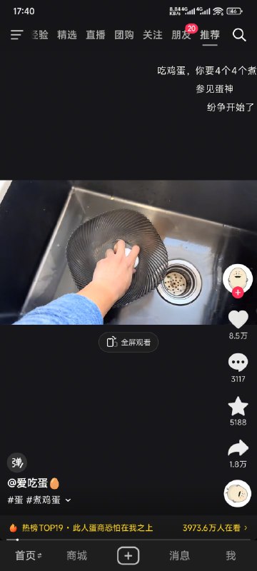 鸡蛋仙人
