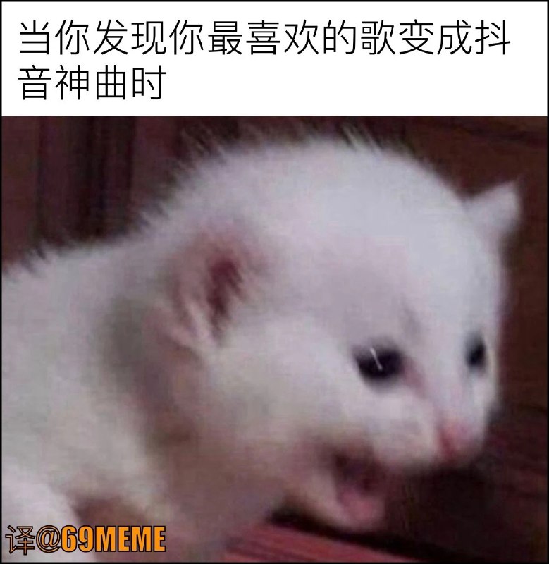 Memory Reboot已经无了，我最喜欢之一