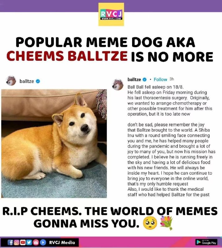 🕯虽然有点太晚了