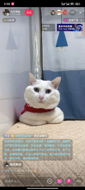 笑死了这小猫人机