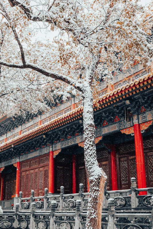 “好雪片片，不落别处”#雪一落这里就美成了诗 #中式美学服饰 #古建筑之美 #雪景“好雪片片，不落别处”#雪一落这里就美成了诗 #中式美学服饰 #古建筑之美 #雪景