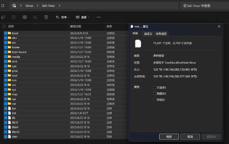 WSL里面文件的映射