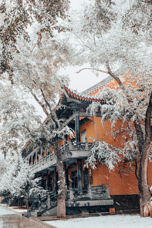 “好雪片片，不落别处”#雪一落这里就美成了诗 #中式美学服饰 #古建筑之美 #雪景“好雪片片，不落别处”#雪一落这里就美成了诗 #中式美学服饰 #古建筑之美 #雪景