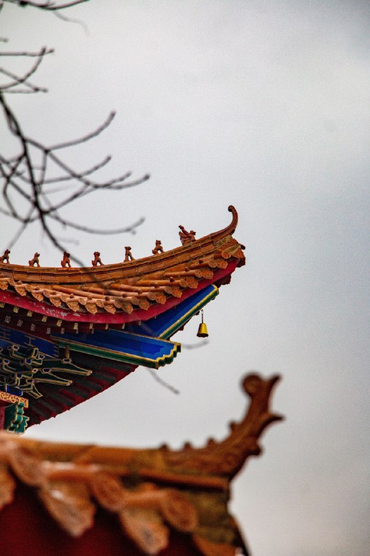 黑龙江 牡丹江 圆通讲寺via 抖音@TDX黑龙江 牡丹江 圆通讲寺via 抖音@TDX