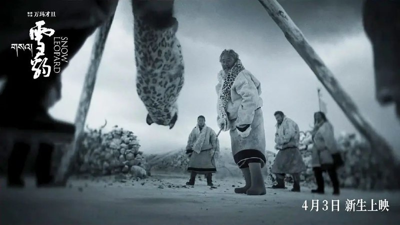 《雪豹》：一部被低估的深度之作小编：阿乔吖🦆小编说：本文是本人拙见，不要以我之观点去带入观影，此作远不止我文中所述，包括不限于人性神性，立场与价值等值得一看的电影万玛才旦的《雪豹》犹如一颗遗落于电影星河中的明珠，尽管它散发着独特而迷人的光芒，但却未能在大众视野中收获广泛的知名度，这着实令人感到可惜