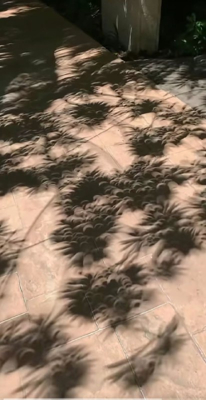 《2009年7月22的那天》#照片 #日全食 #知识内容节选自frienze的评论区《2009年7月22的那天》#照片 #日全食 #知识内容节选自frienze的评论区