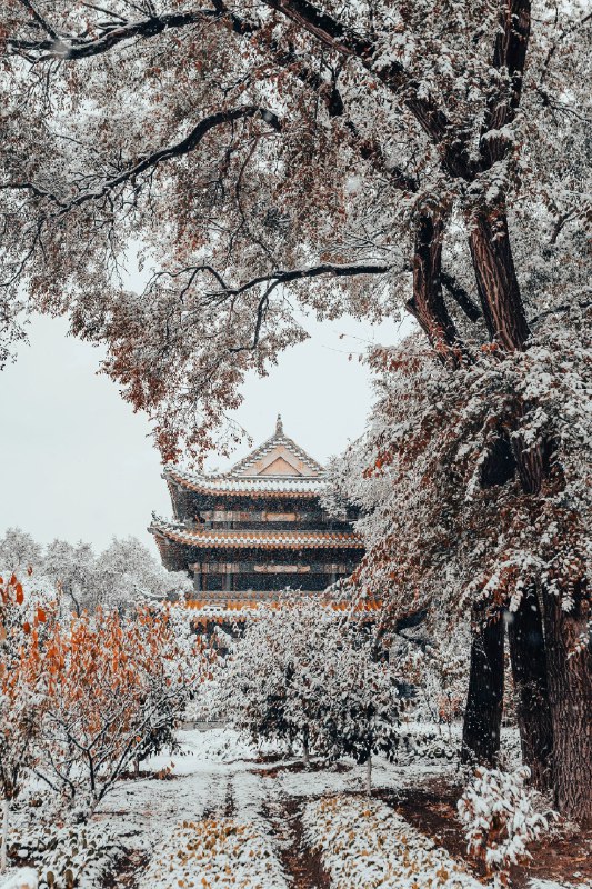 “好雪片片，不落别处”#雪一落这里就美成了诗 #中式美学服饰 #古建筑之美 #雪景“好雪片片，不落别处”#雪一落这里就美成了诗 #中式美学服饰 #古建筑之美 #雪景